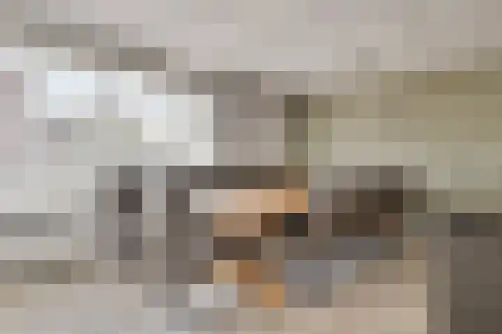 Middelsluissedijk WZ 2 Numansdorp thumbnail 7