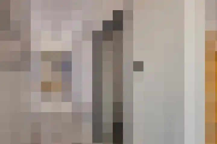 Middelsluissedijk WZ 2 Numansdorp thumbnail 8