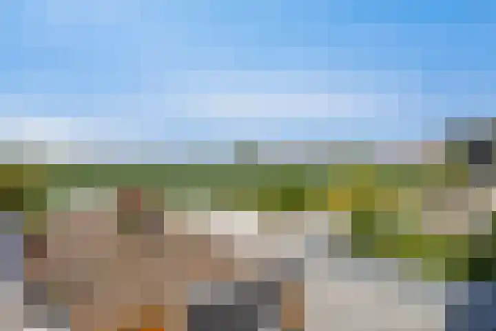 Middelsluissedijk WZ 20 Numansdorp thumbnail 20