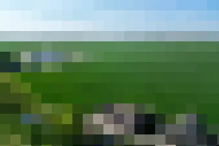Middelsluissedijk WZ 20 Numansdorp thumbnail 58