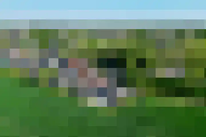 Middelsluissedijk WZ 20 Numansdorp thumbnail 59