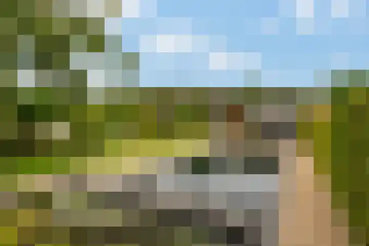 Middelsluissedijk WZ 47 Numansdorp thumbnail 55