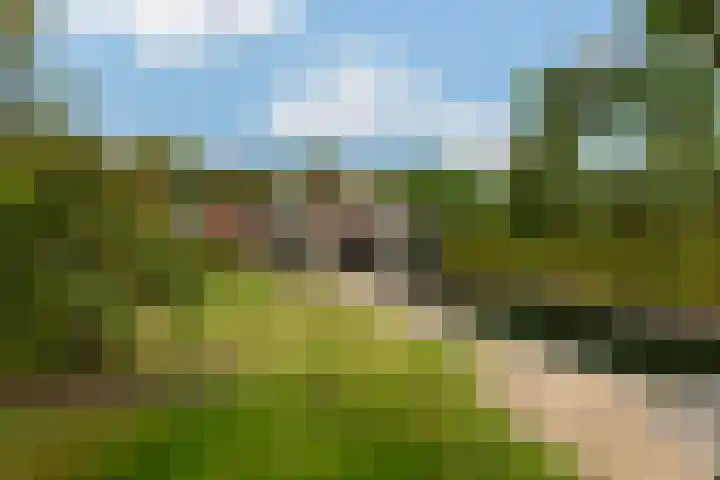 Middelsluissedijk WZ 47 Numansdorp thumbnail 56