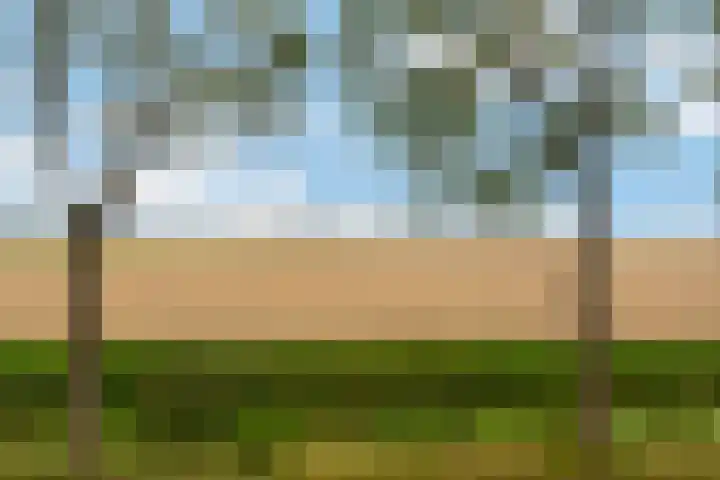Middelsluissedijk WZ 47 Numansdorp thumbnail 66
