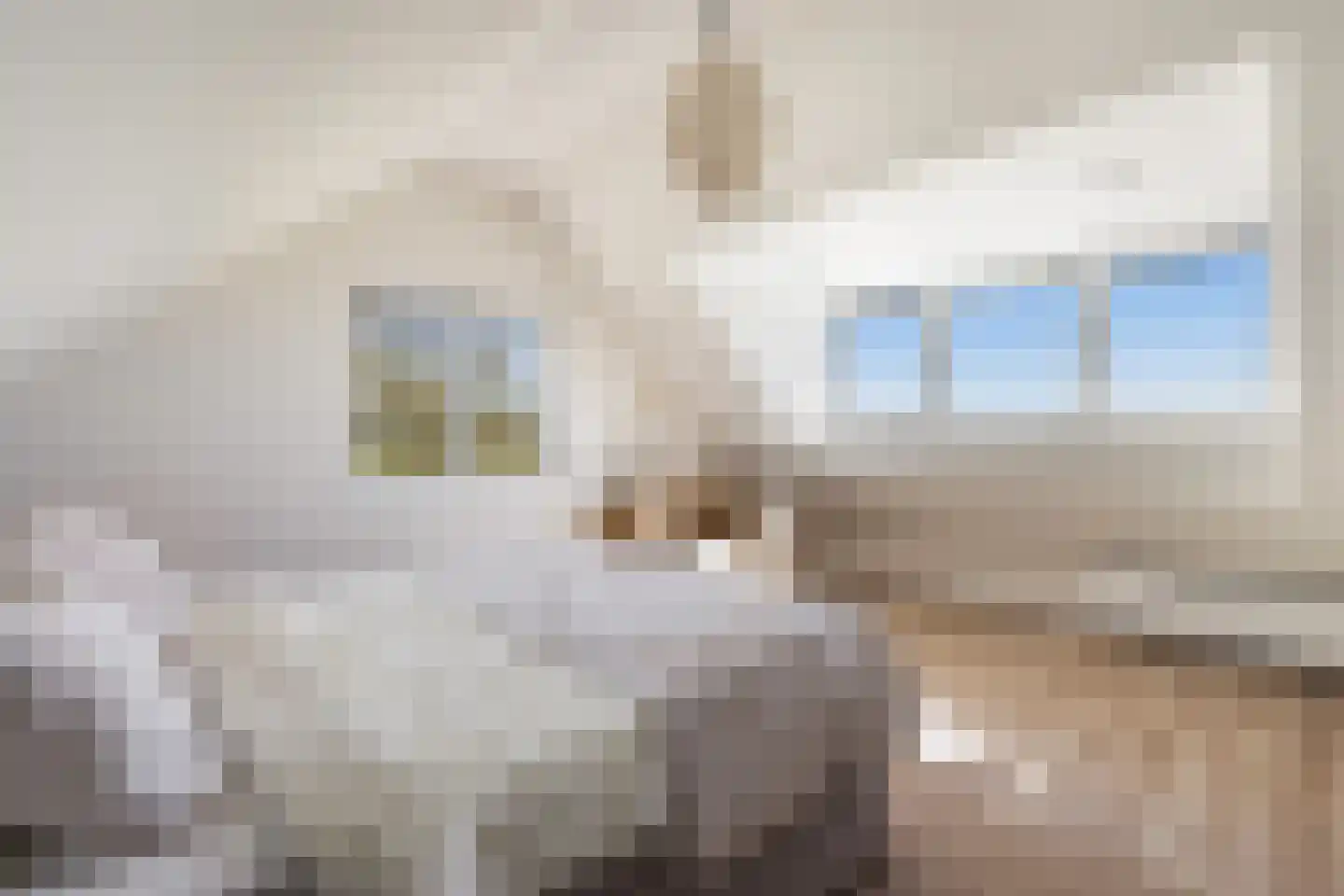 Middelsluissedijk WZ 87 Numansdorp thumbnail 15