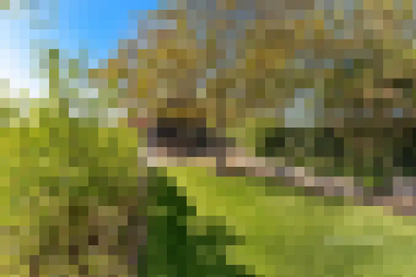 Middelsluissedijk WZ 87 Numansdorp thumbnail 27