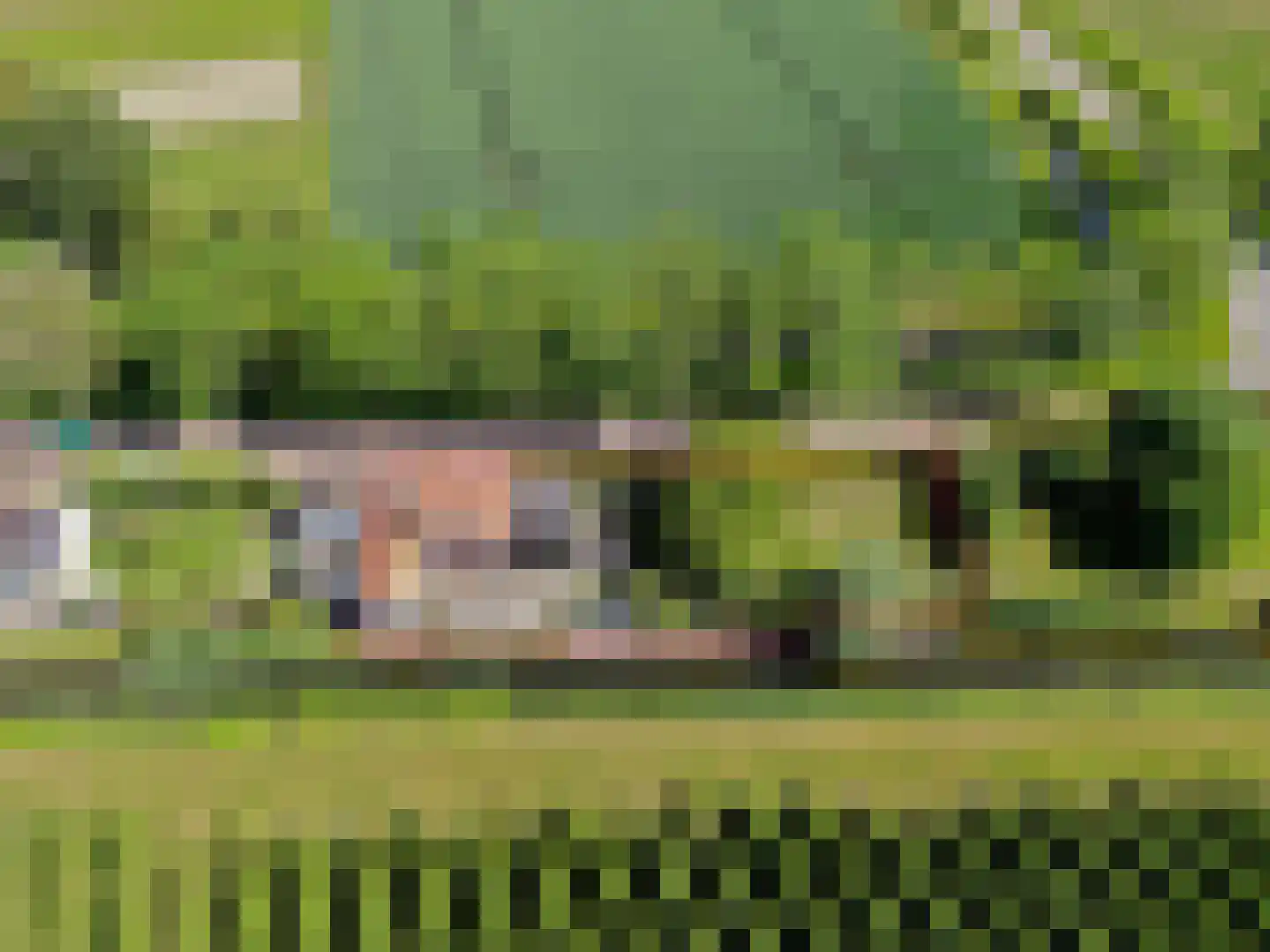 Middelsluissedijk WZ 87 Numansdorp thumbnail 32