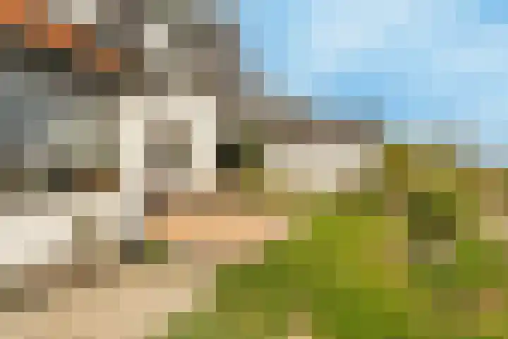 Middelsluissedijk WZ 91 Numansdorp thumbnail 43