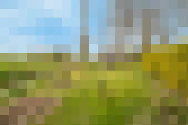 Middelsluissedijk WZ 91 Numansdorp thumbnail 52