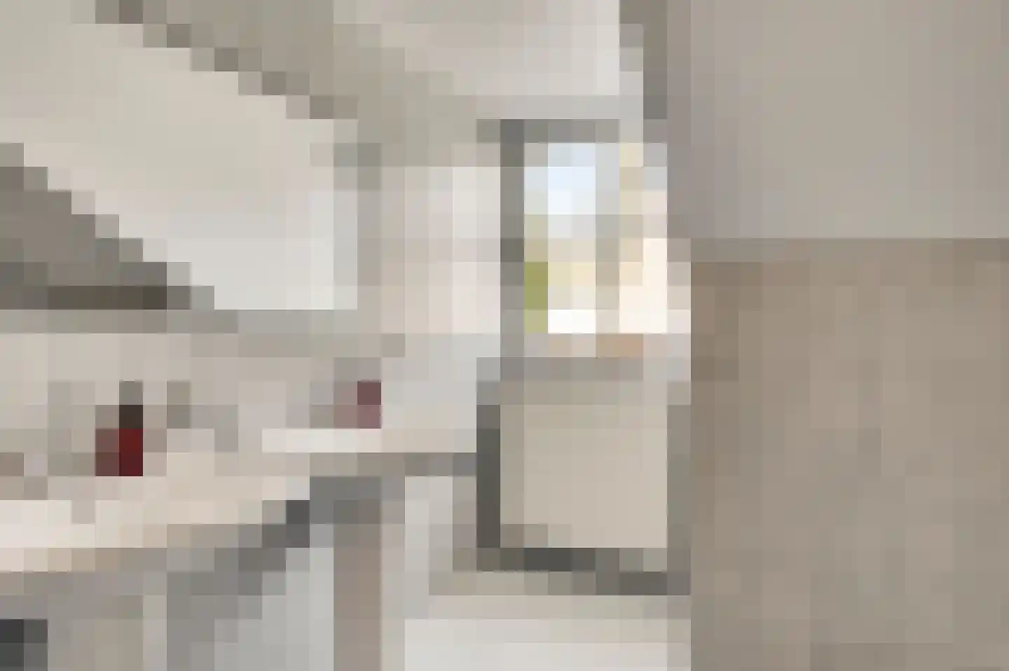 Middelstebaan 3 Vught thumbnail 33
