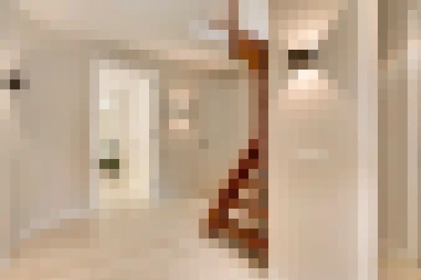 Middelstebaan 3 Vught thumbnail 9