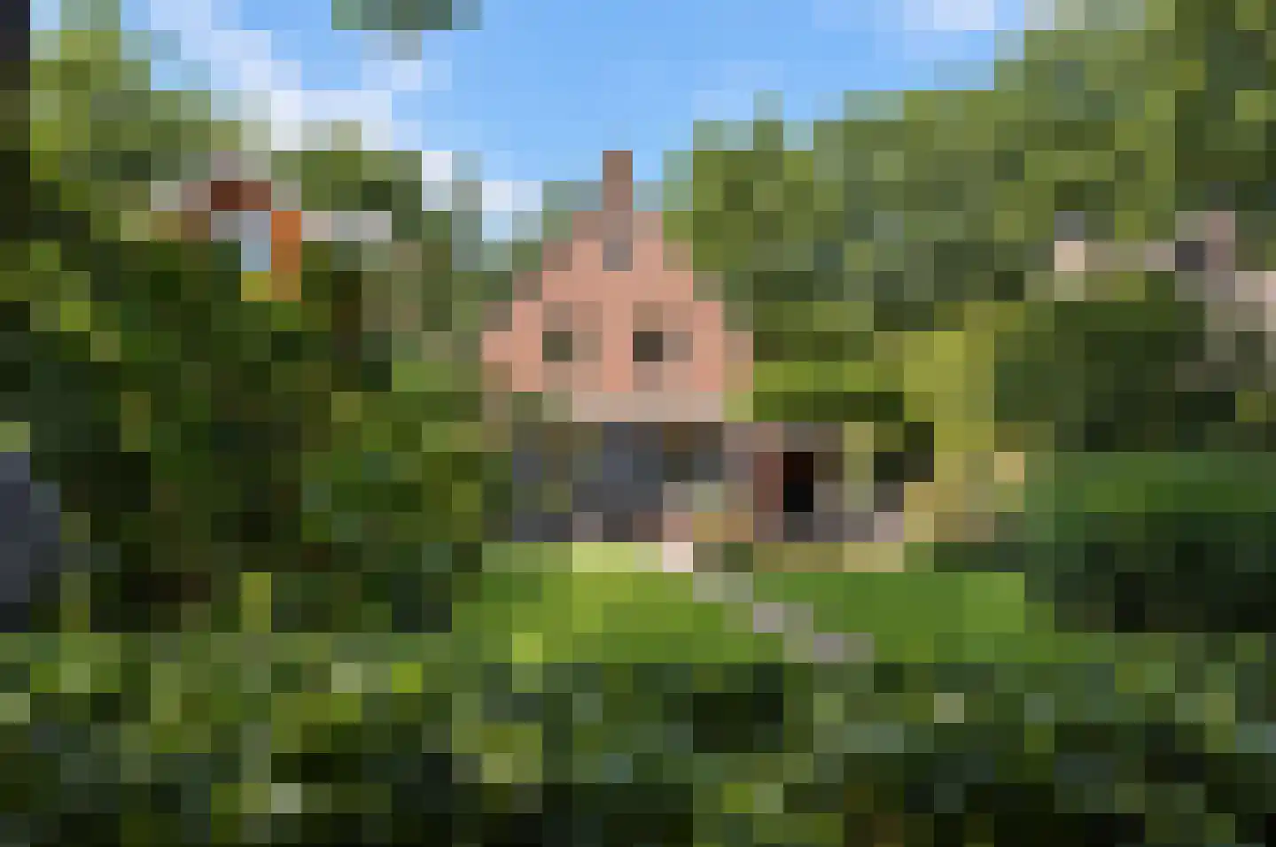 Middelstebaan 4 Vught thumbnail 24