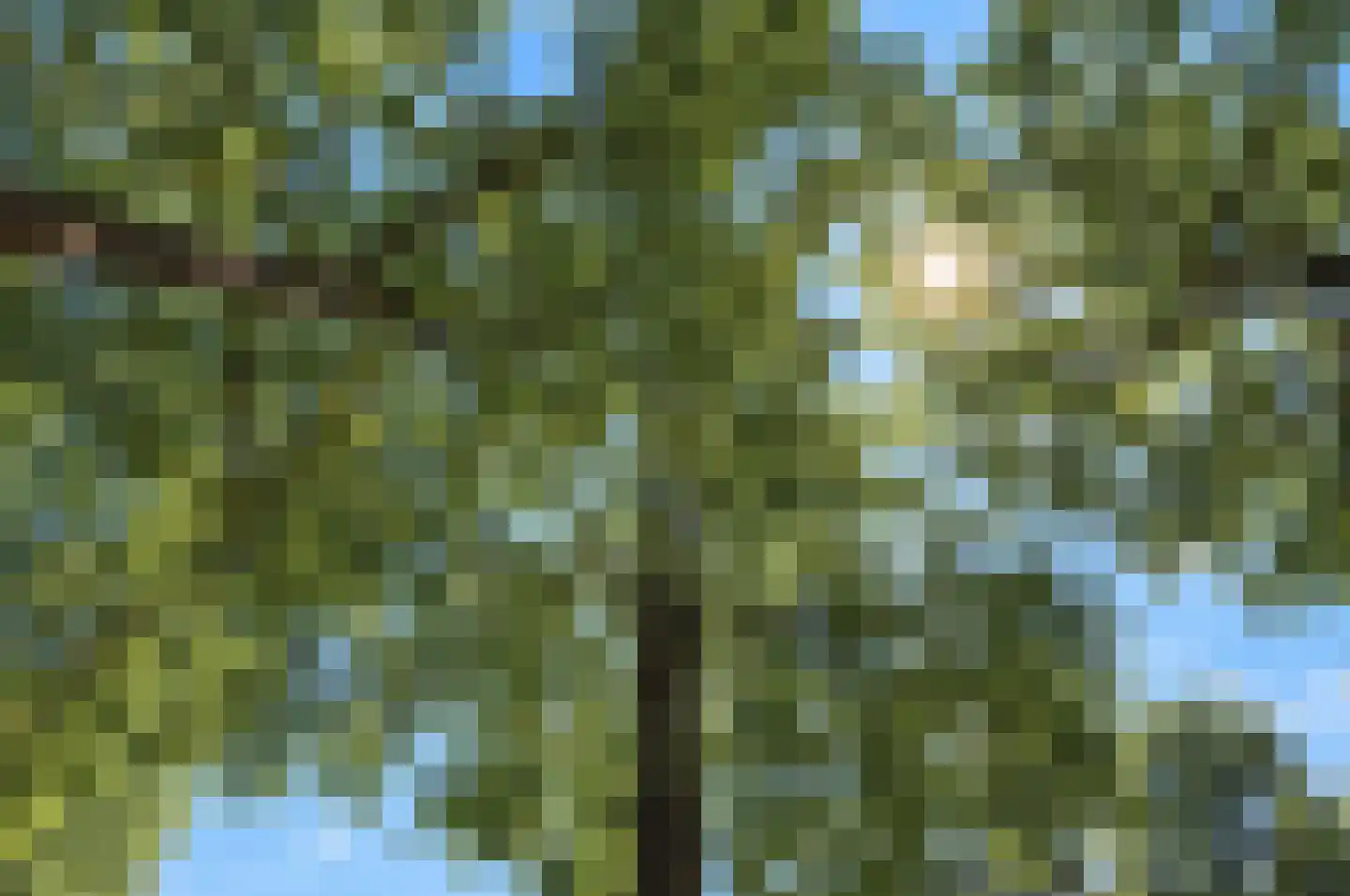 Middelstebaan 4 Vught thumbnail 29