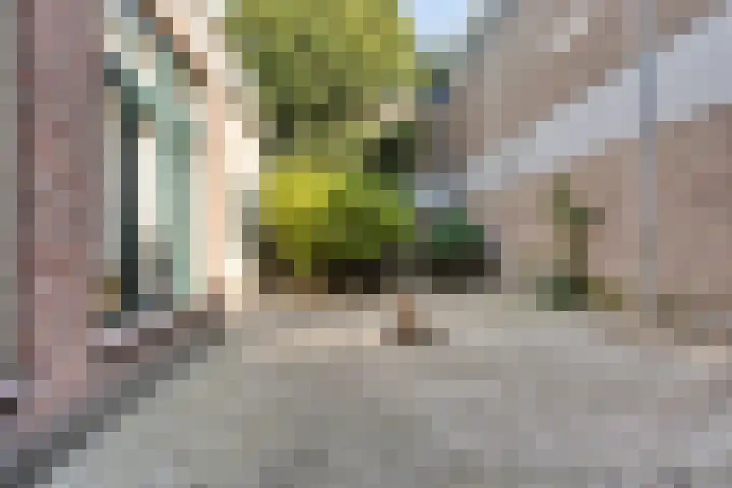 Middelstegracht 129 Leiden thumbnail 49