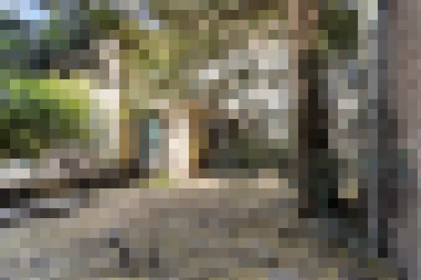 Middelstegracht 129 Leiden thumbnail 50