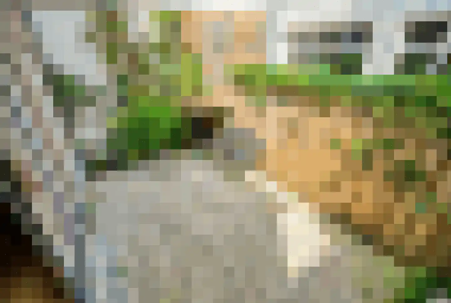 Middelstegracht 147 C Leiden thumbnail 7