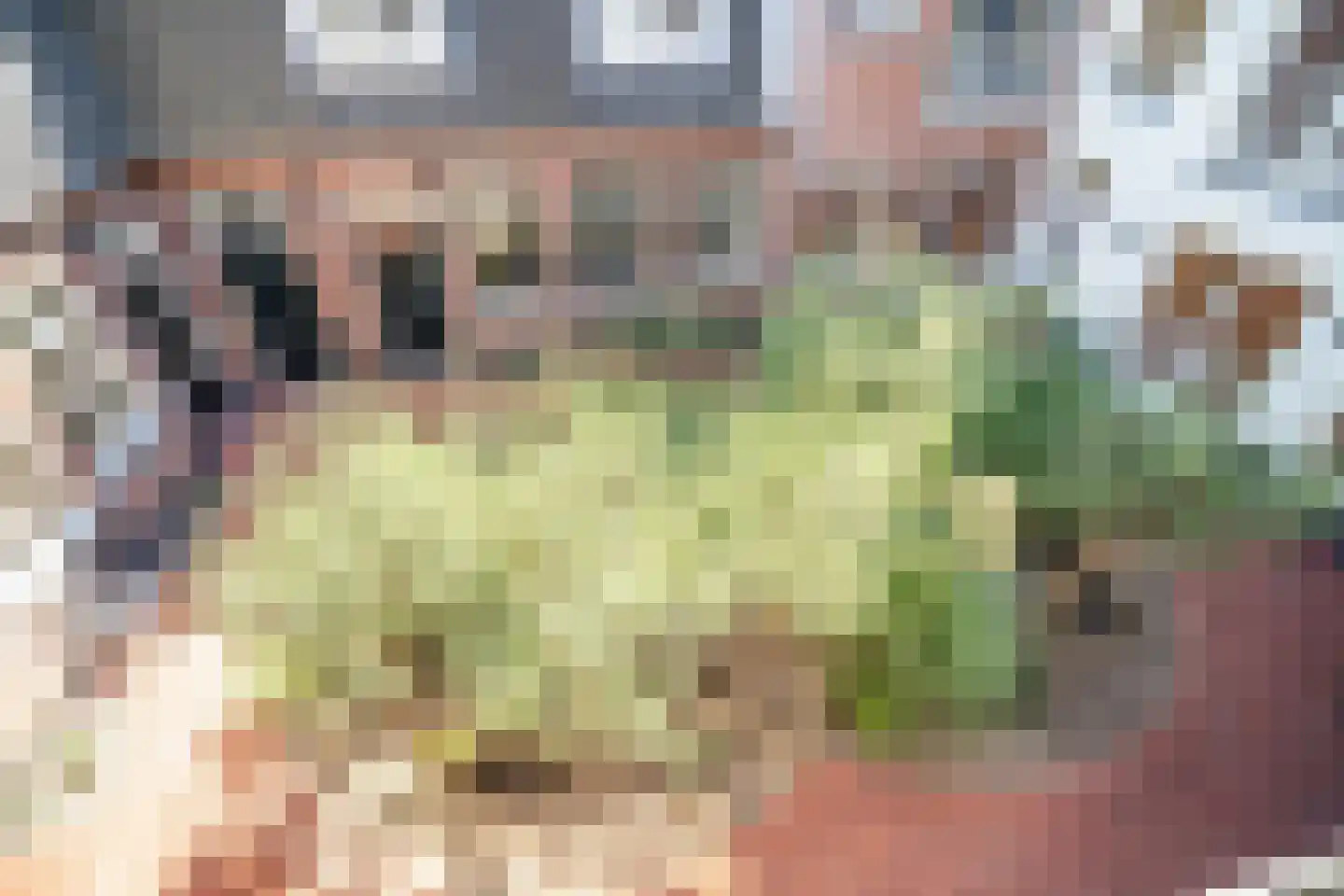 Middelstegracht 147 Leiden thumbnail 24