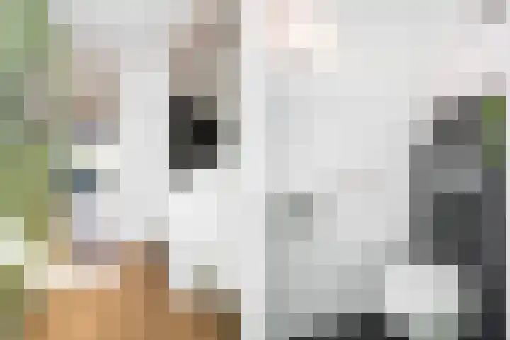 Middelstekamplaan 5 Zwolle thumbnail 12