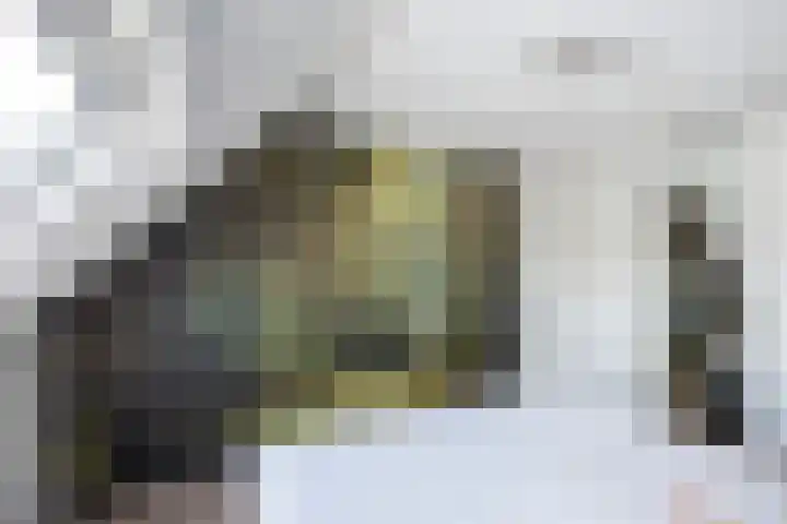 Middelstekamplaan 5 Zwolle thumbnail 15
