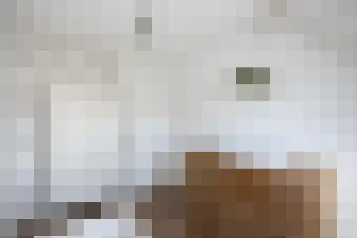 Middelstekamplaan 5 Zwolle thumbnail 17