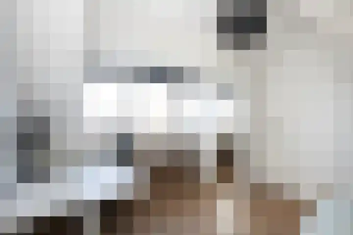 Middelstekamplaan 5 Zwolle thumbnail 21