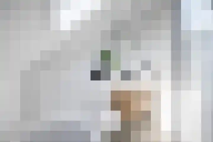 Middelstekamplaan 5 Zwolle thumbnail 23