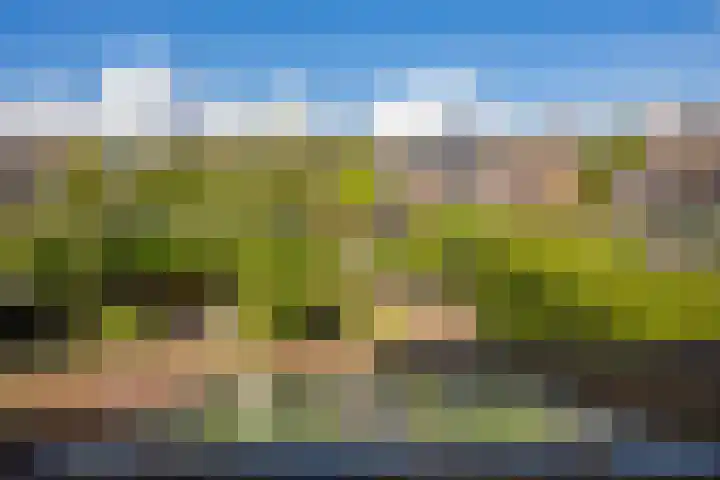 Middelstekamplaan 5 Zwolle thumbnail 25