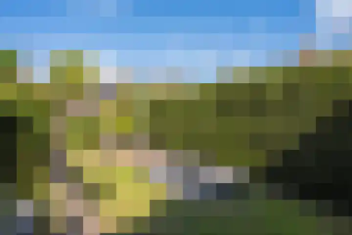 Middelstekamplaan 5 Zwolle thumbnail 26