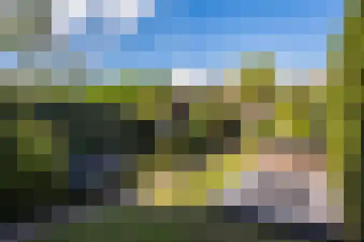 Middelstekamplaan 5 Zwolle thumbnail 27