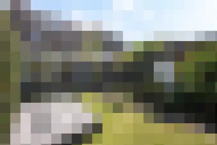 Middelstekamplaan 5 Zwolle thumbnail 28