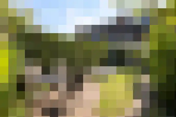 Middelstekamplaan 5 Zwolle thumbnail 29