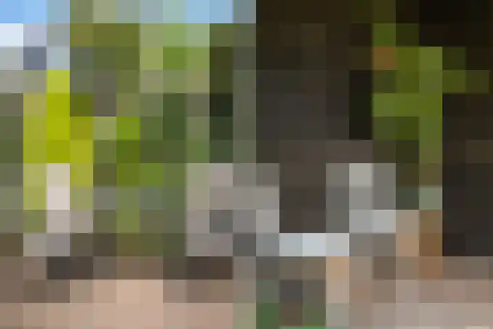 Middelstekamplaan 5 Zwolle thumbnail 30