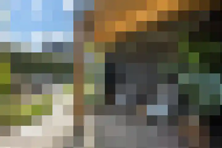 Middelstekamplaan 5 Zwolle thumbnail 31