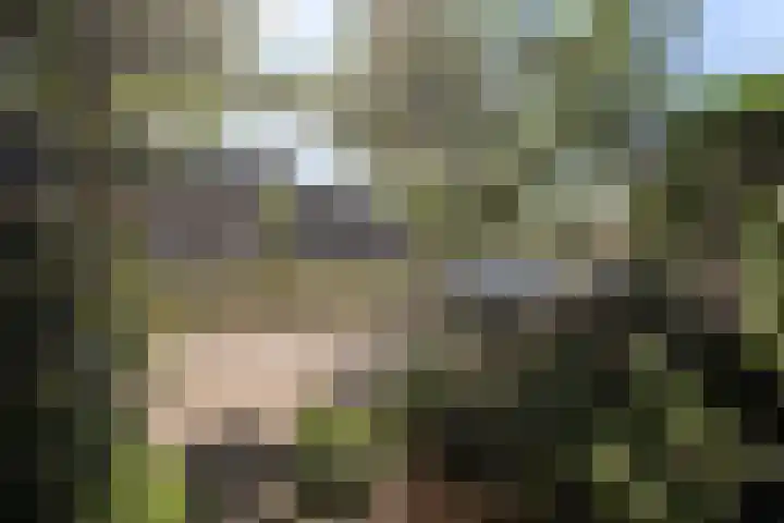 Middelstekamplaan 5 Zwolle thumbnail 35
