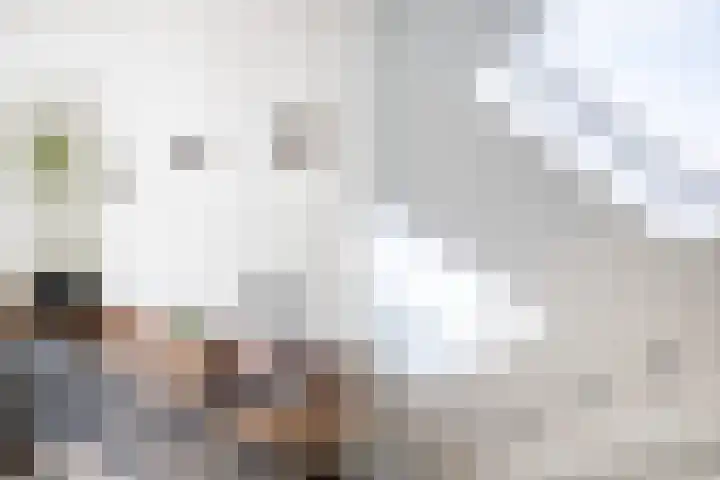 Middelstekamplaan 5 Zwolle thumbnail 9
