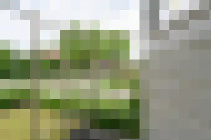 Middelstestraat 10 Weert thumbnail 48
