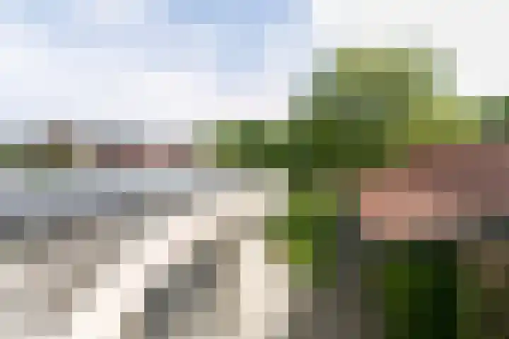 Middelstestraat 10 Weert thumbnail 49