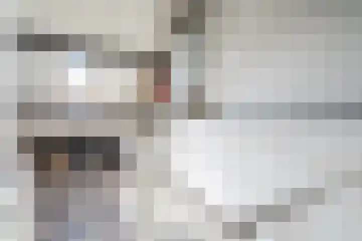 Middelstestraat 129 Weert thumbnail 35