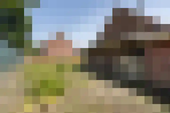 Middelstestraat 14 Weert thumbnail 46