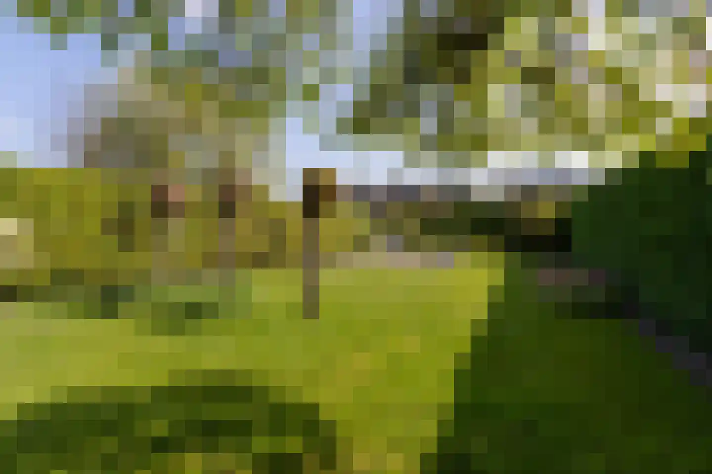 Middelstestraat 34 Weert thumbnail 33