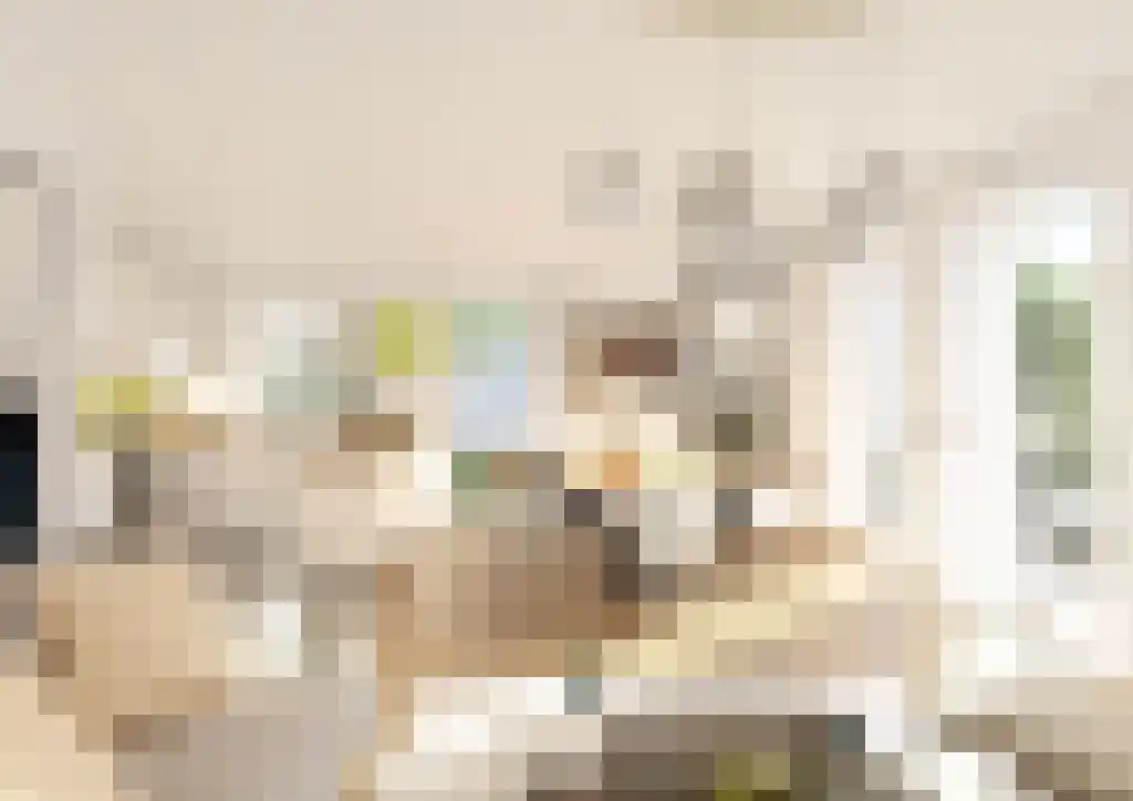 Middelstewyk 0 0 ong Rottevalle thumbnail 10