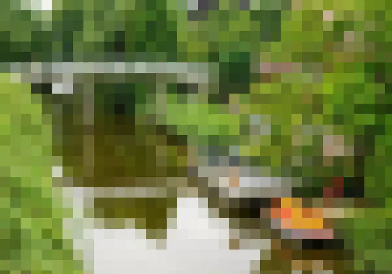Middelstewyk 0 0 ong Rottevalle thumbnail 19