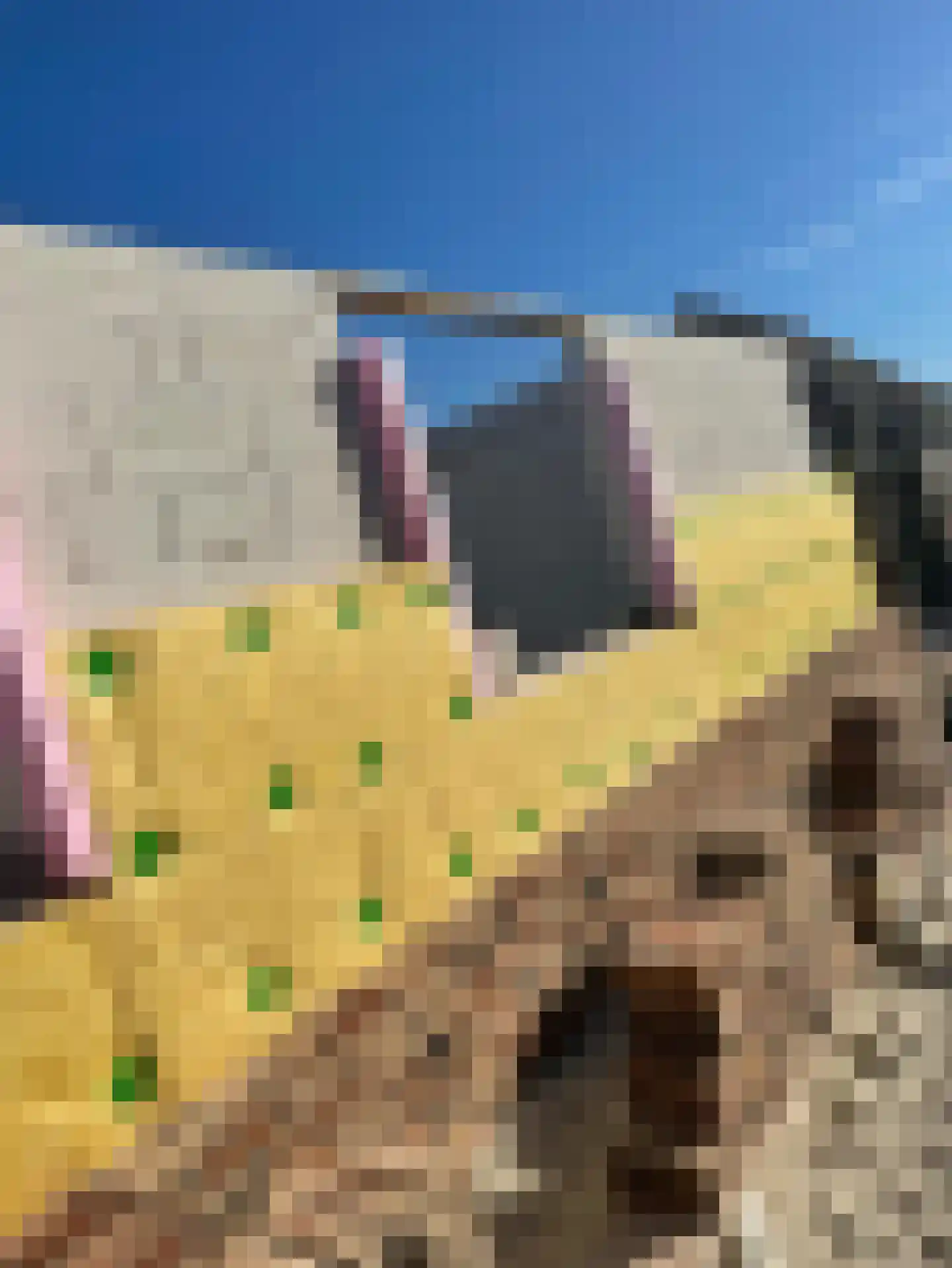 Middelstewyk 0 0 ong Rottevalle thumbnail 25