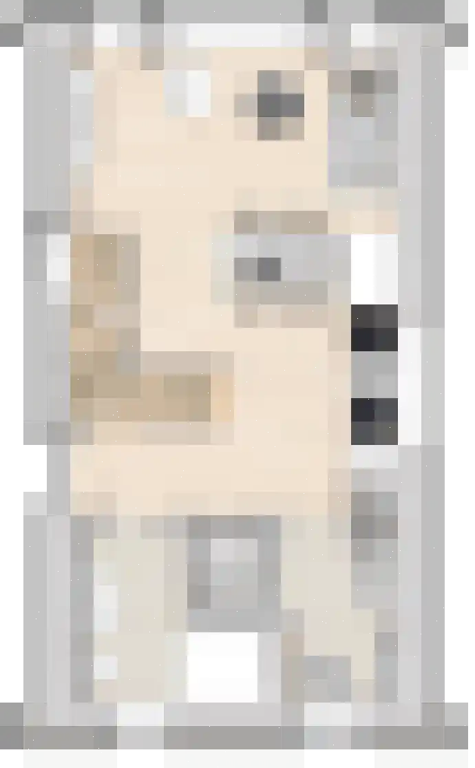 Middelstewyk 0 0 ong Rottevalle thumbnail 31