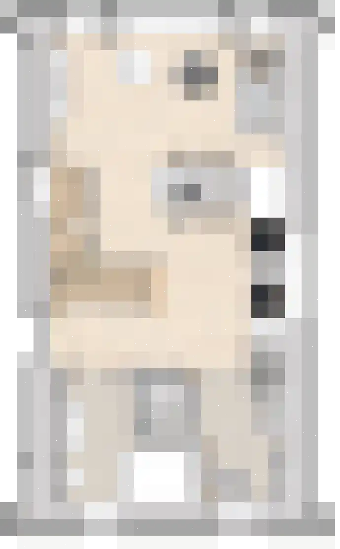 Middelstewyk 0 0 ong Rottevalle thumbnail 32