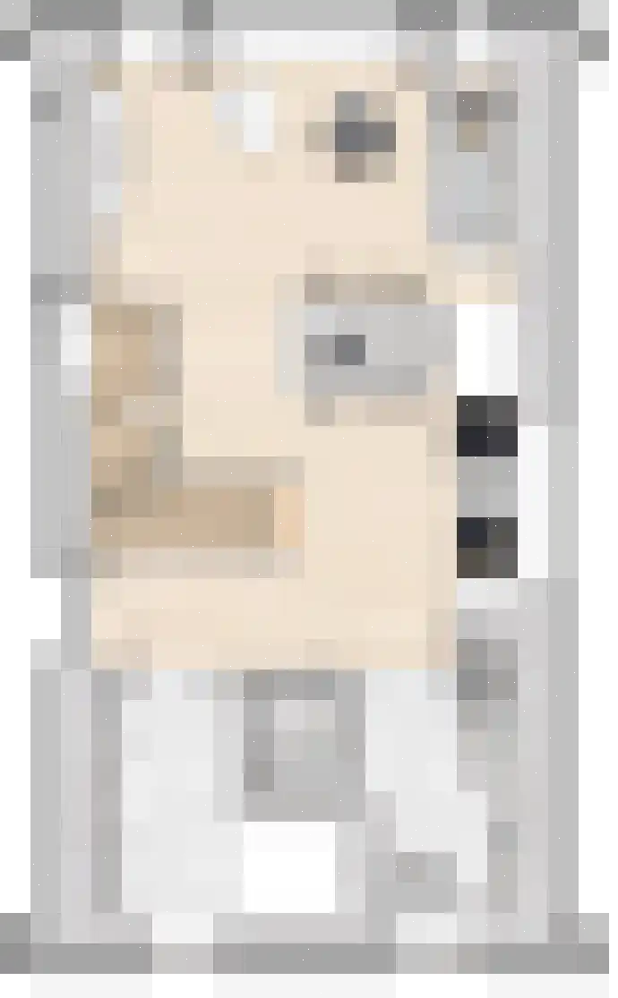 Middelstewyk 0 0 ong Rottevalle thumbnail 33