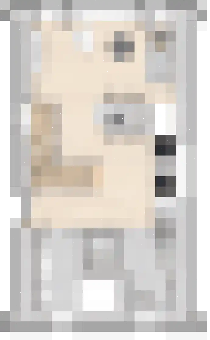 Middelstewyk 0 0 ong Rottevalle thumbnail 34