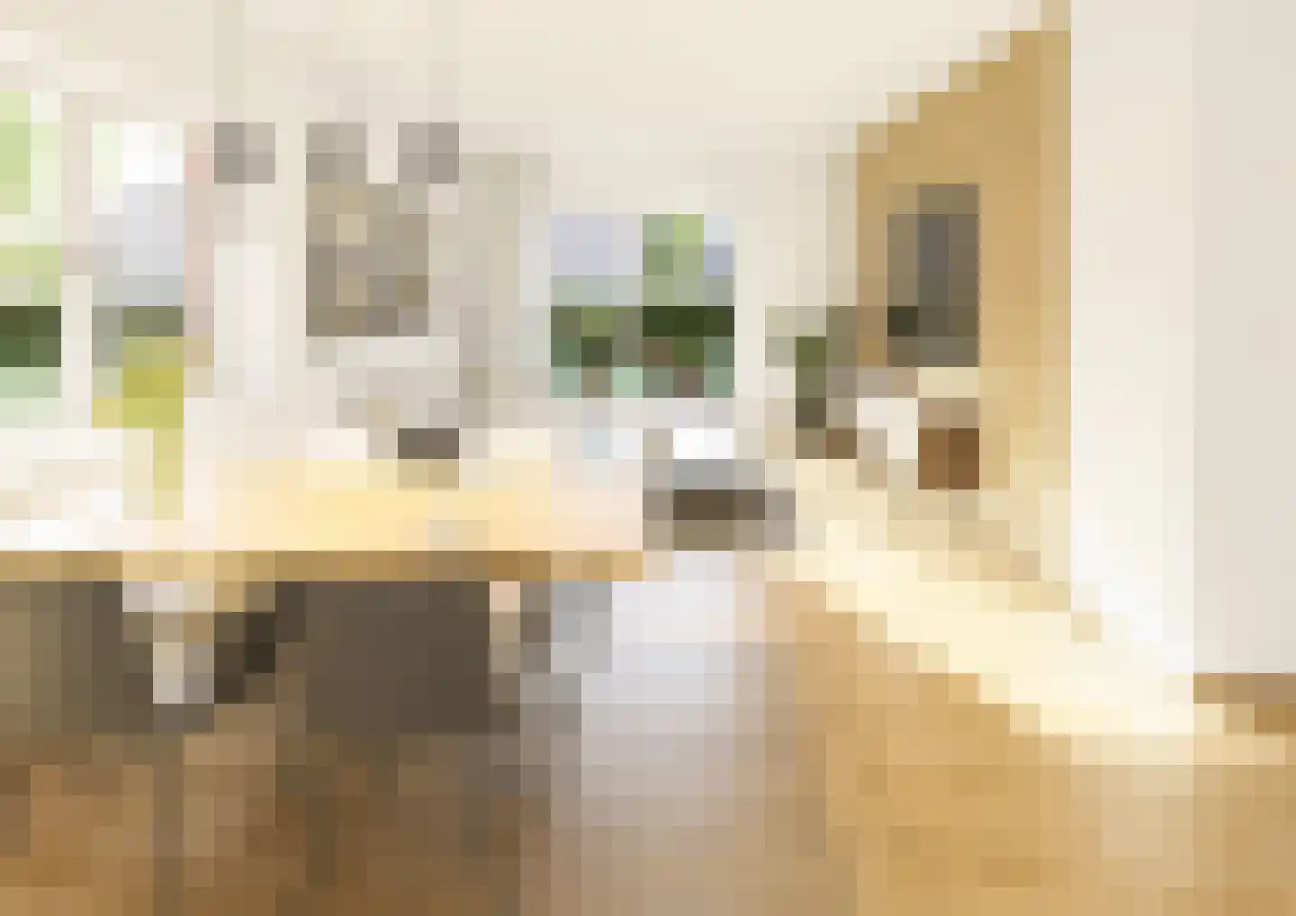 Middelstewyk 0 0 ong Rottevalle thumbnail 9
