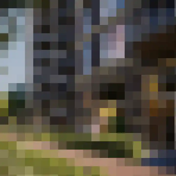 Middelstewyk 0 Rottevalle thumbnail 4