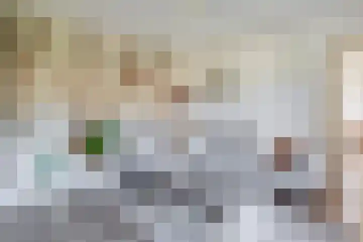 Middelstraat 14 De Moer thumbnail 13